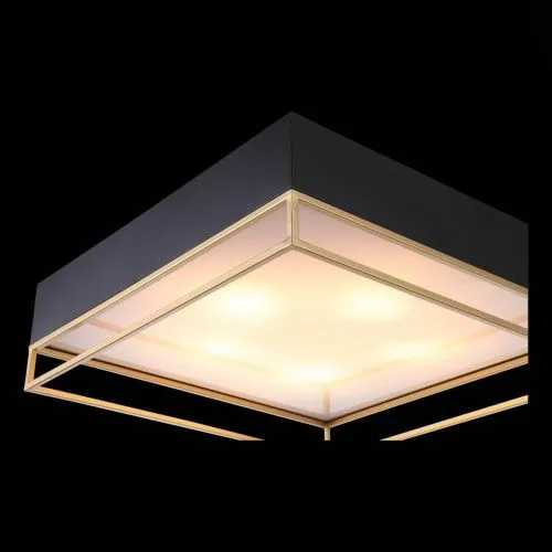 Потолочный светильник ST Luce Chodo SL1127.422.05  фото 6