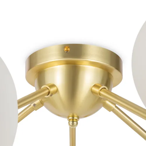 Потолочная люстра Maytoni Dallas MOD545CL-20BS  фото 4