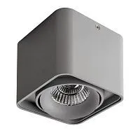 Потолочный светодиодный светильник Lightstar Monocco 052119 